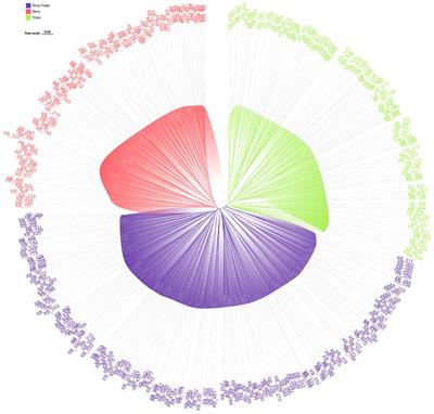 Genomic prediction of yield-related traits and genome-based establishment of heterotic pattern in maize hybrid breeding of Southwest China